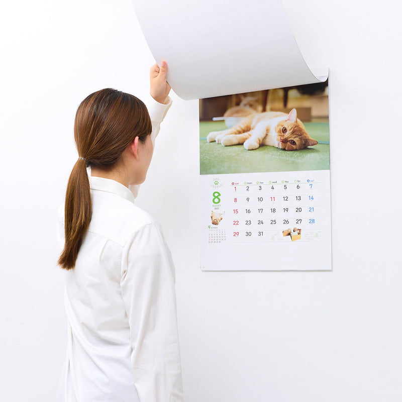 New Japan Calendar 2027 Wall Calendar Life with Cats Mikan to Jirousan Chi NK33