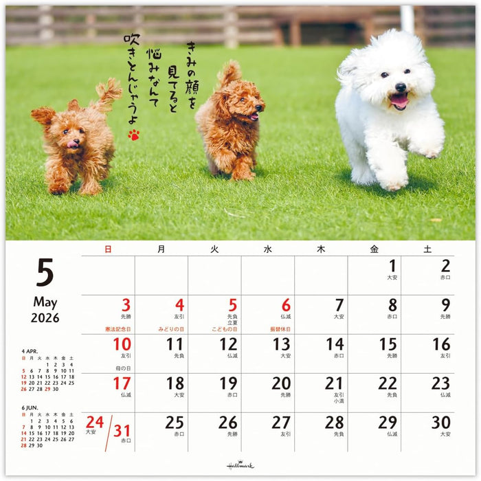 Hallmark 2026 Wall Calendar Homewanko Large 845292