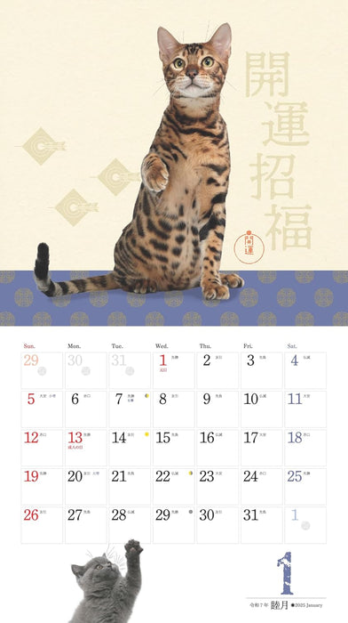 Yama-kei Calendar 2025 Good Luck Lucky Cat (Monthly / Wall Calendar)