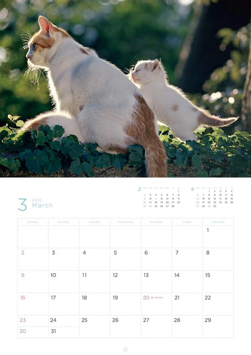 Mitsuaki Iwago Fuku Neko Calendar 2025