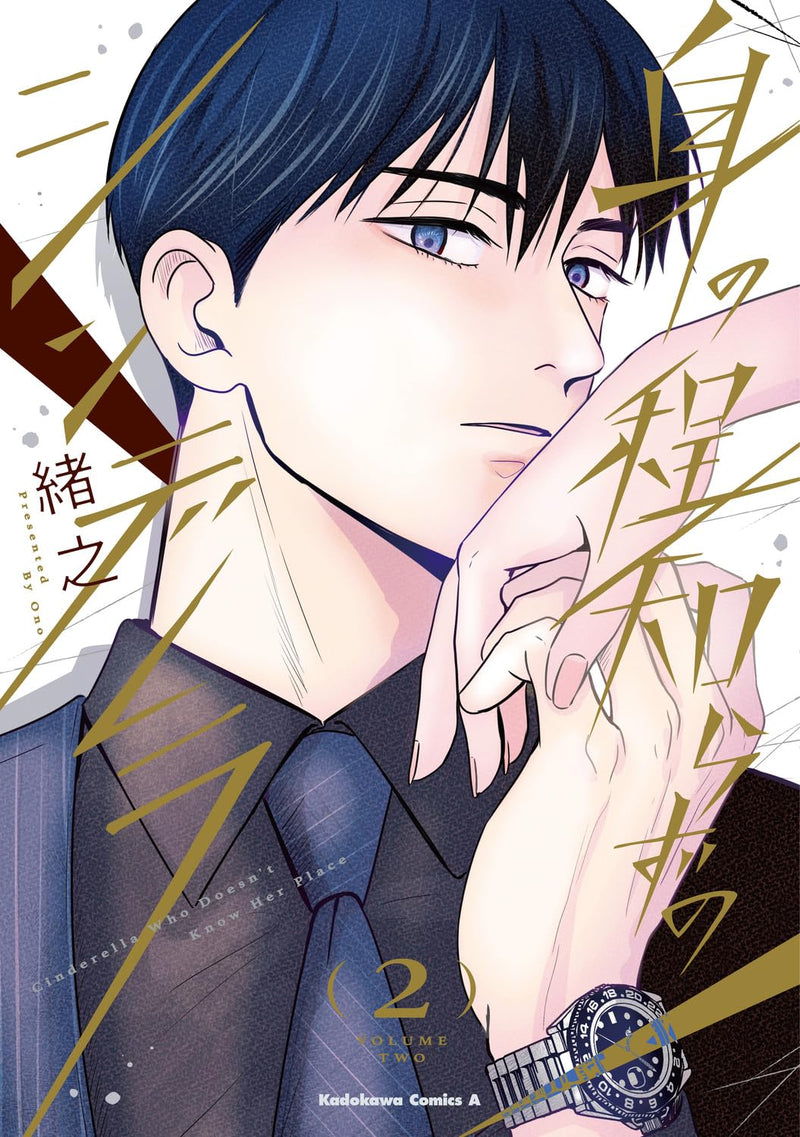 Minohodoshirazu no Cinderella 2