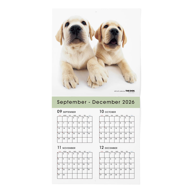 Eco Wall & Desk Calendar 2027 Modifed B5 E95