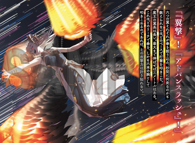 Ougon no Keikenchi IX (Light Novel)
