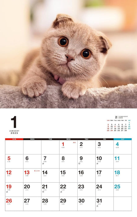 Kittens Calenddar 2025 (Monthly/Wall Calendar)