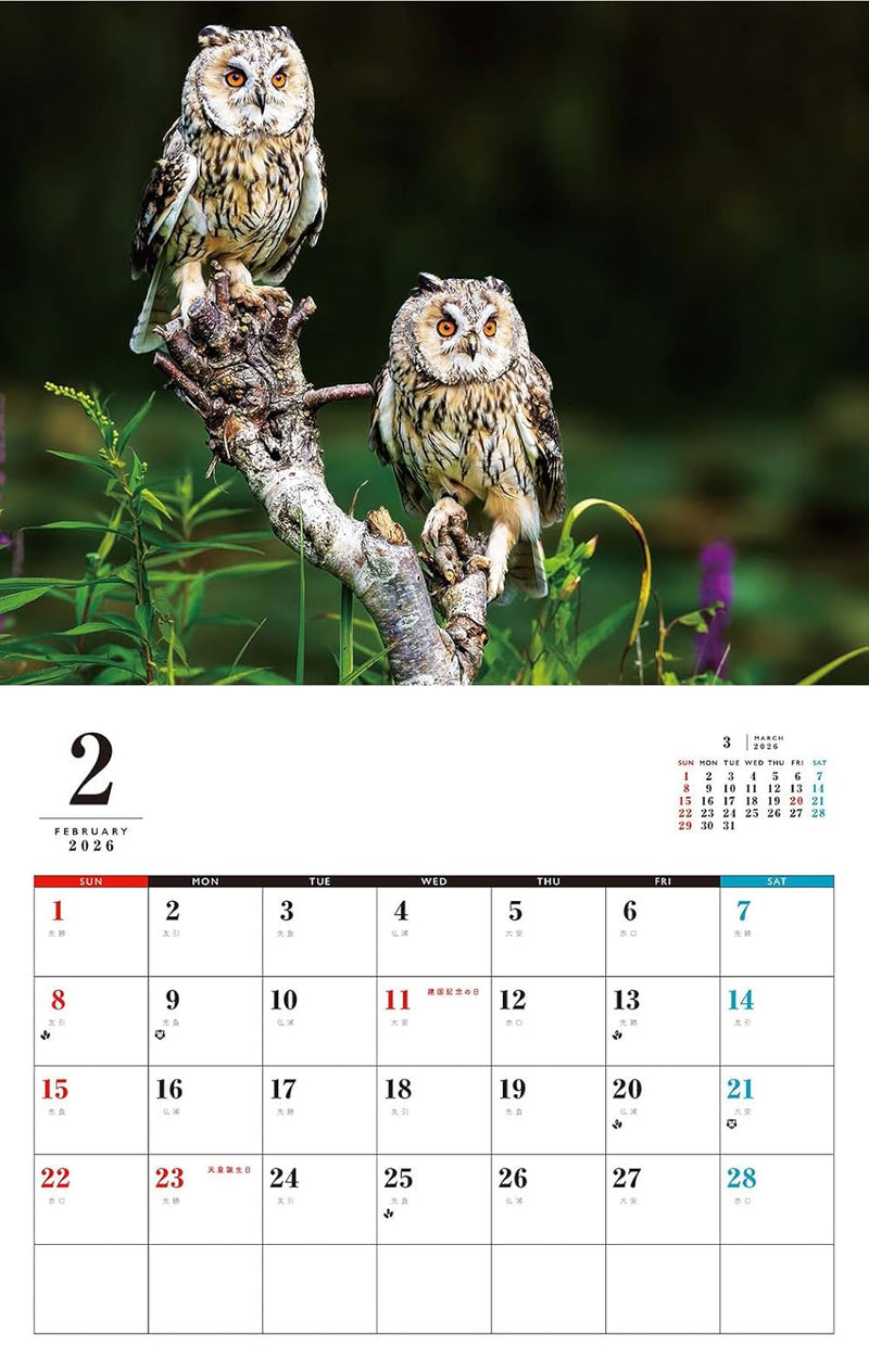 OWL Calendar 2026 (Monthly/Wall Calendar)