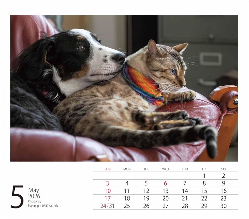 2026 Mini Calendar Mitsuaki Iwago Friends