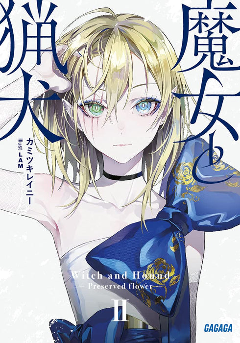 Majo to Ryouken 2 (Light Novel)