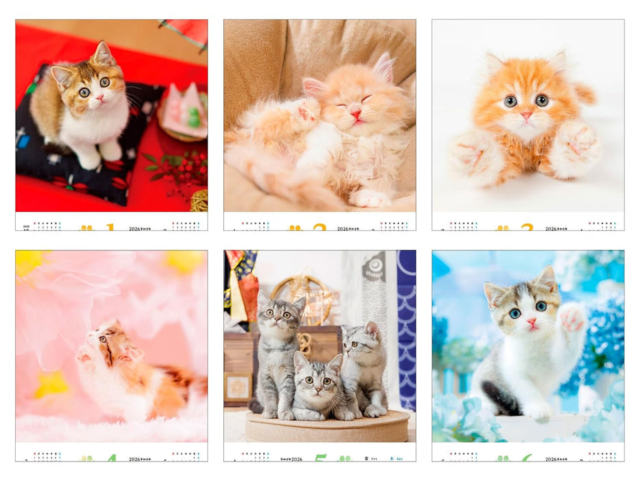 Calendar 2026 Fukufuku Koneko (Monthly/Wall Calendar) (Impress Calendar 2026)