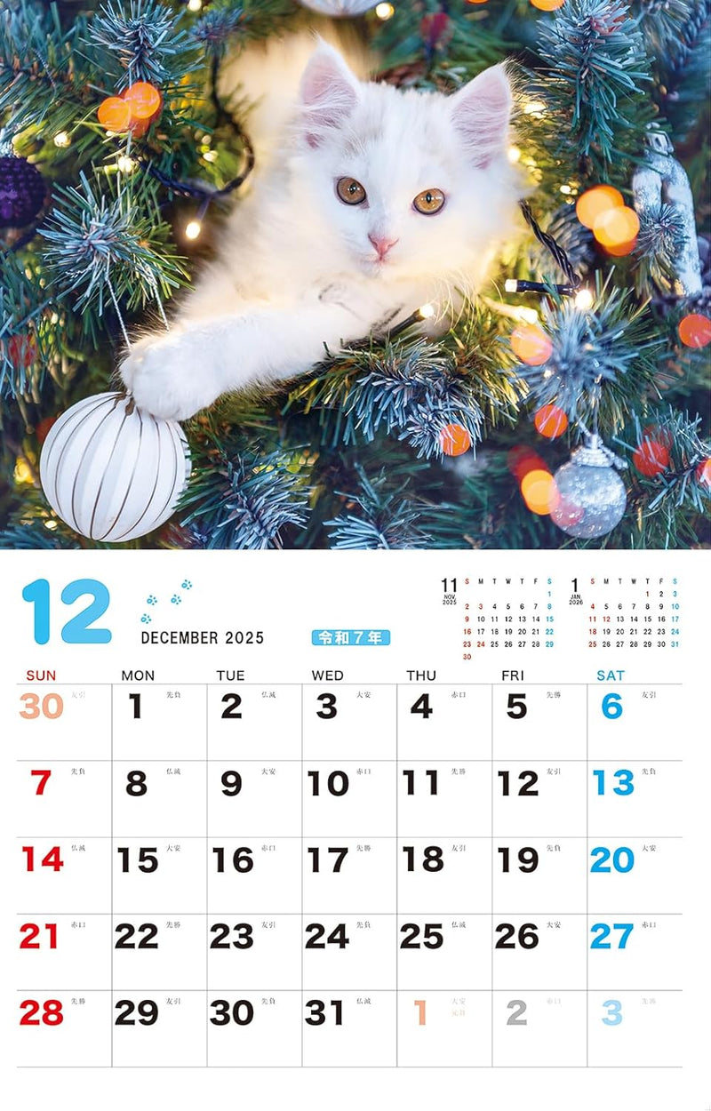Fuwamofu Koneko. CALENDAR 2026