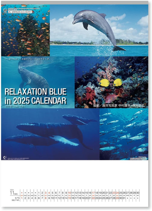 New Japan Calendar 2025 Wall Calendar Relaxation Blue NK32