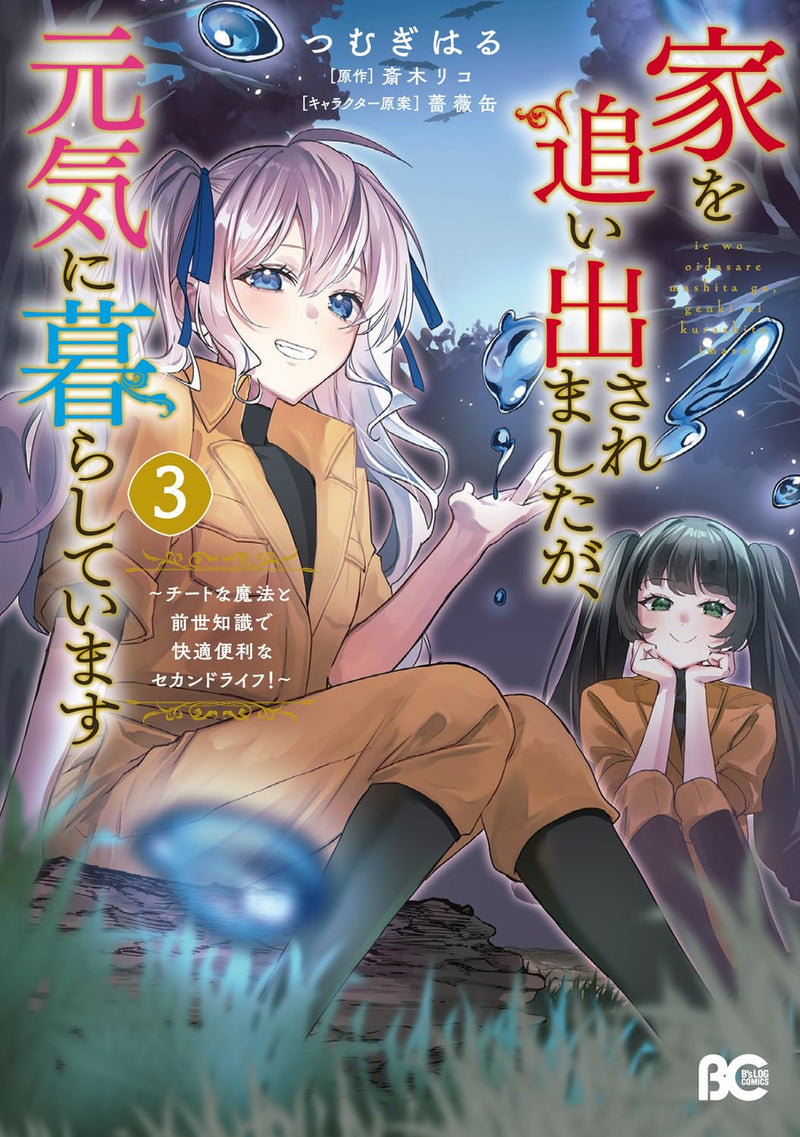 Ie wo Oidasaremashita ga, Genki ni Kurashiteimasu - Cheat na Mahou to Zense Chishiki de Kaiteki Benri na Second Life! - 3