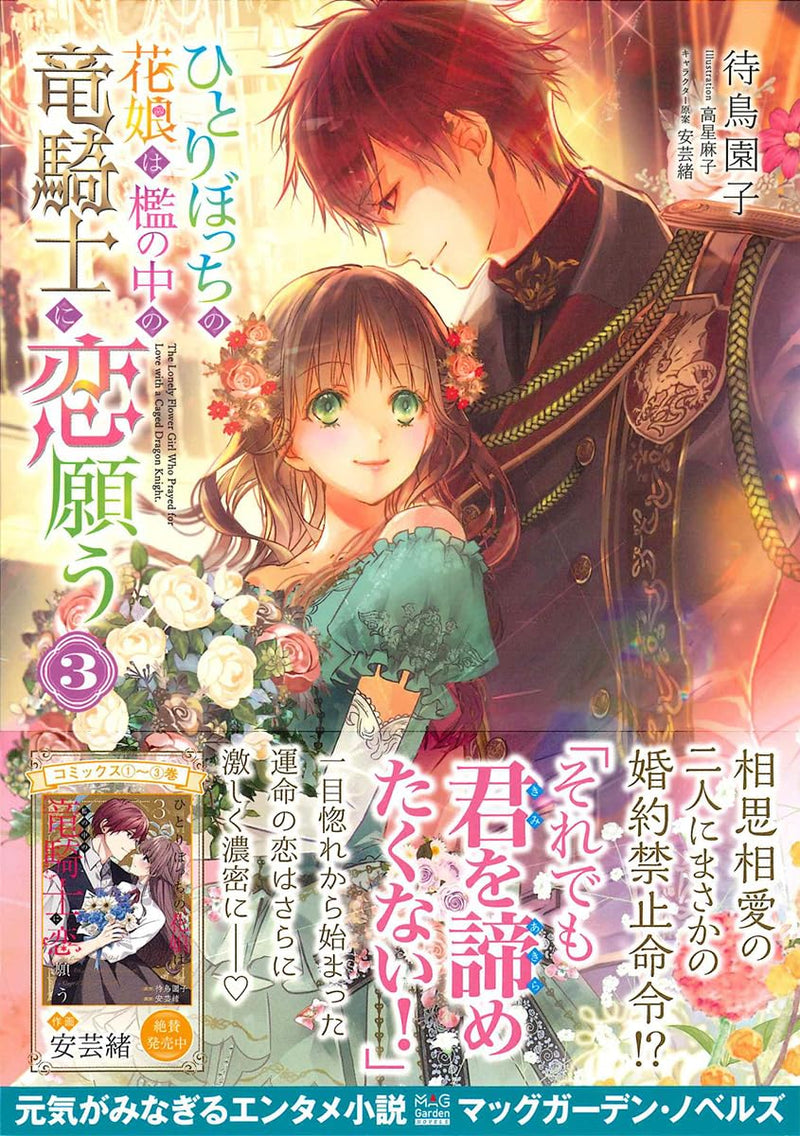Hitoribocchi no Hana Musume wa Ori no Naka no Ryuu Kishi ni Koi Negau 3