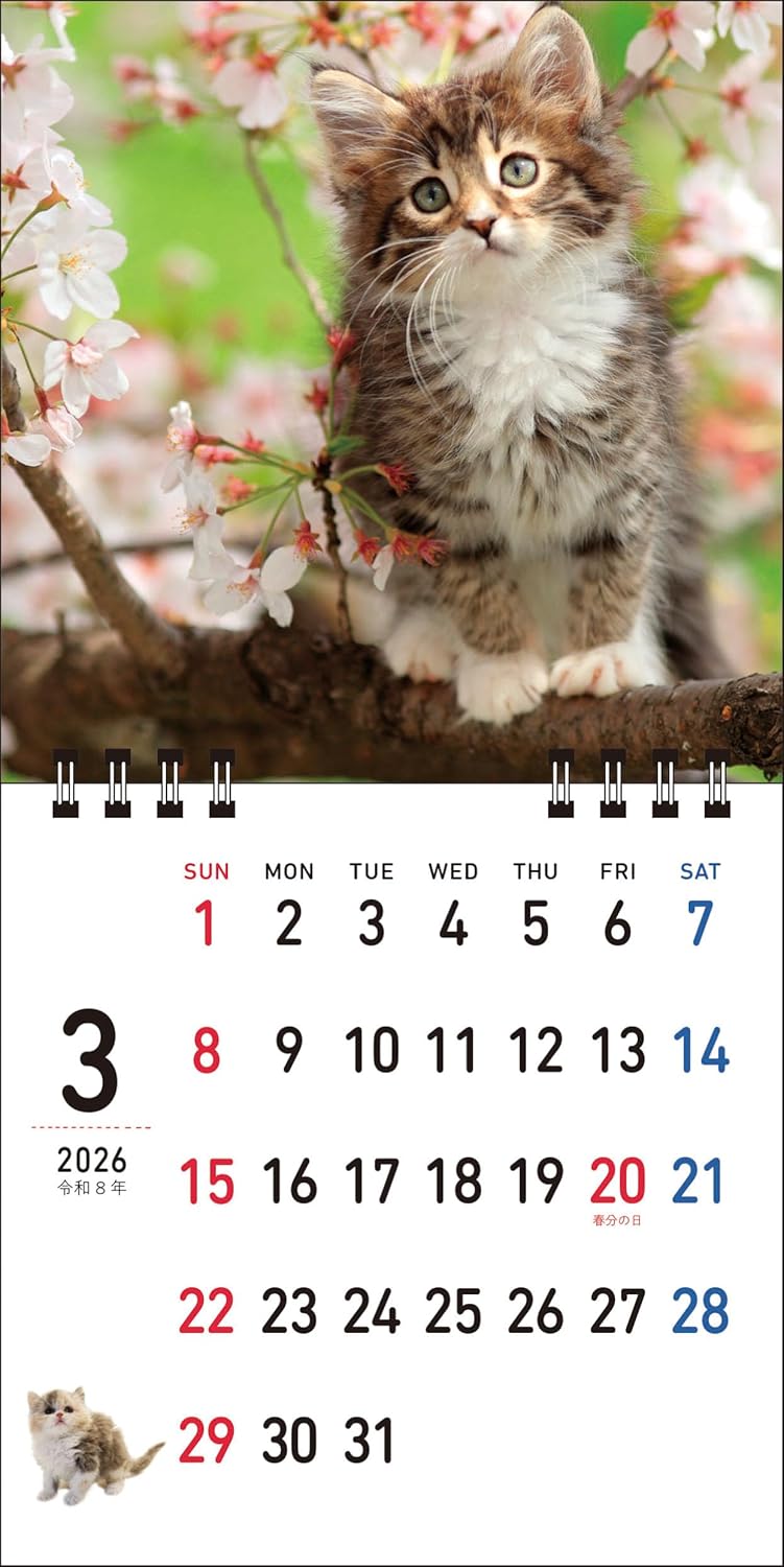Nyan Petit 2026 Calendar S2