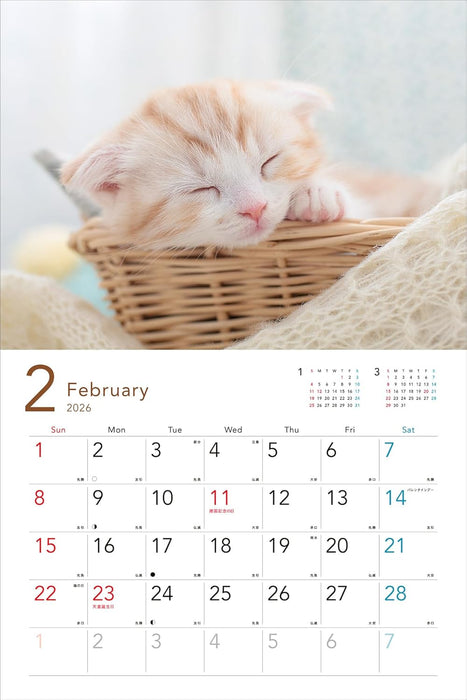 2026 Sleepy Kittens Calendar