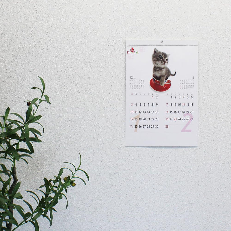 Eco Wall Calendar 2027 2-Month View Double B5 Size E91