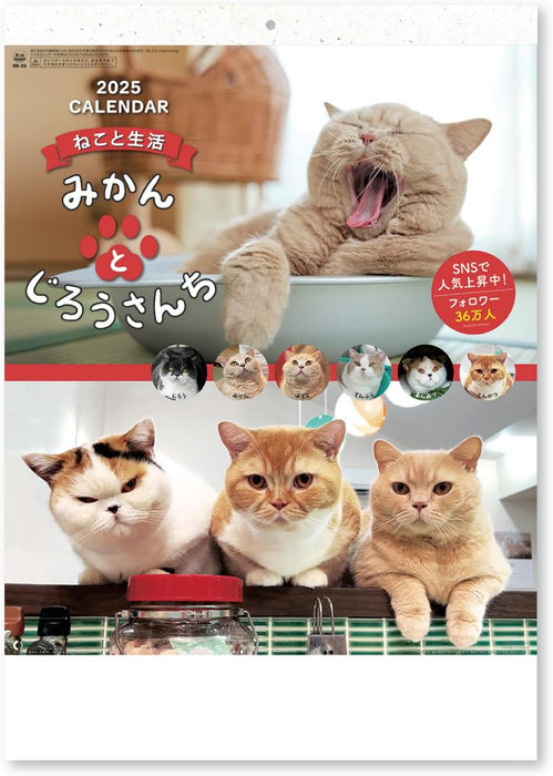 New Japan Calendar 2025 Wall Calendar Life with Cats Mikan to Jirousan Chi NK33