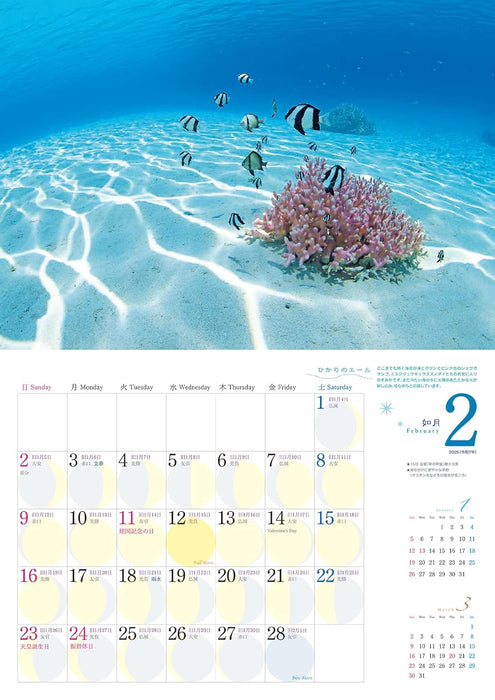 2025 Umima-ru Moon Calendar Where the Sea Meets teh Sky OKINAWA