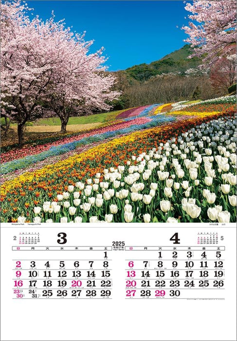 Todan 2025 Wall Calendar Japan (Film) CL25-1077