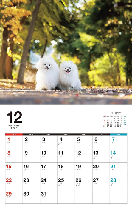 I LOVE Pomeranian Calendar 2025 (Monthly/Wall Calendar)