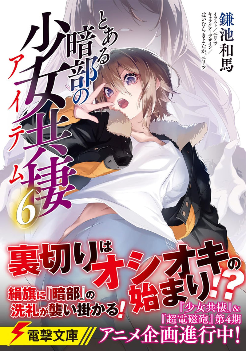 A Certain Item of Dark Side (Toaru Anbu no Item) 6 (Light Novel)