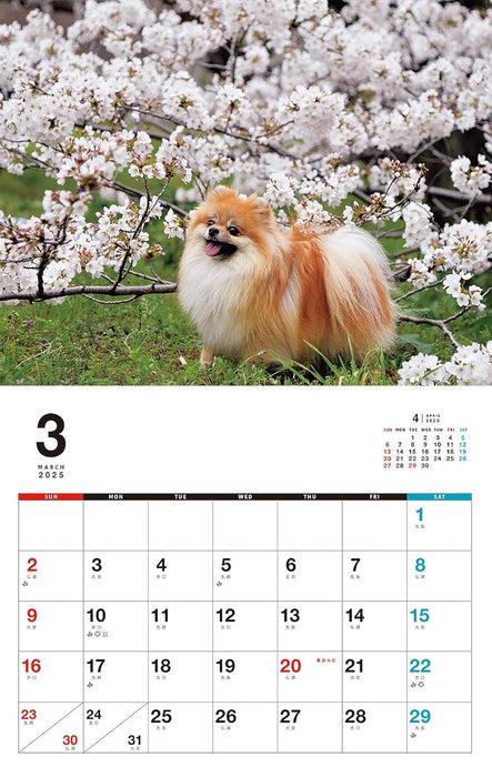 I LOVE Pomeranian Calendar 2025 (Monthly/Wall Calendar)