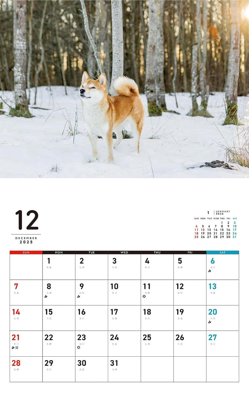 Honobono Shiba Calendar 2026 (Monthly/Wall Calendar)