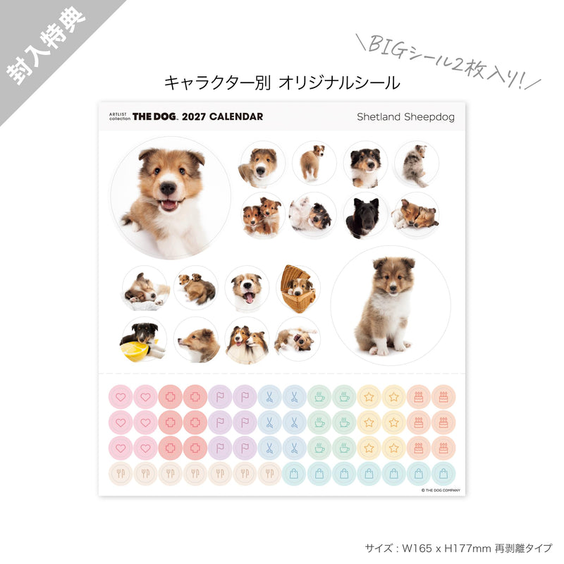 THE DOG 2027 Desk Calendar [Shetland Sheepdog]