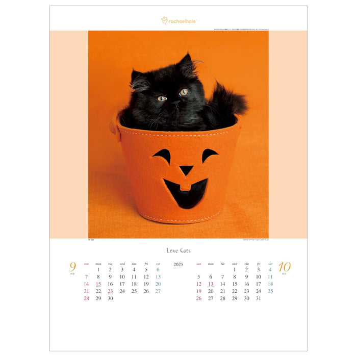 Todan 2025 Wall Calendar Love Cat - Rachel Hale Works - 53.5 x 38cm TD-934