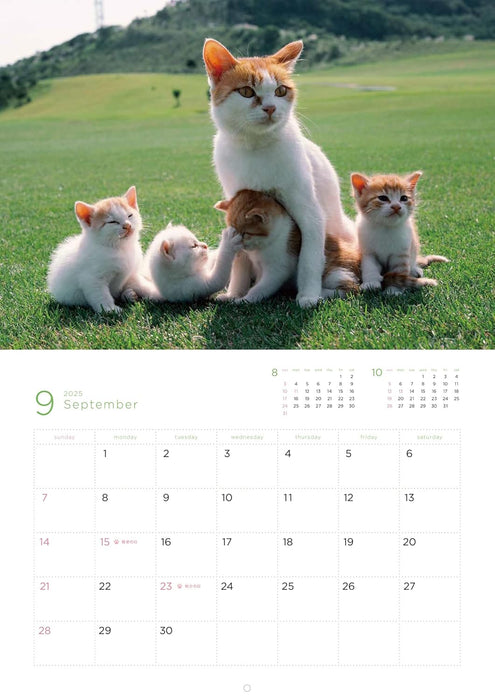 Mitsuaki Iwago Fuku Neko Calendar 2025