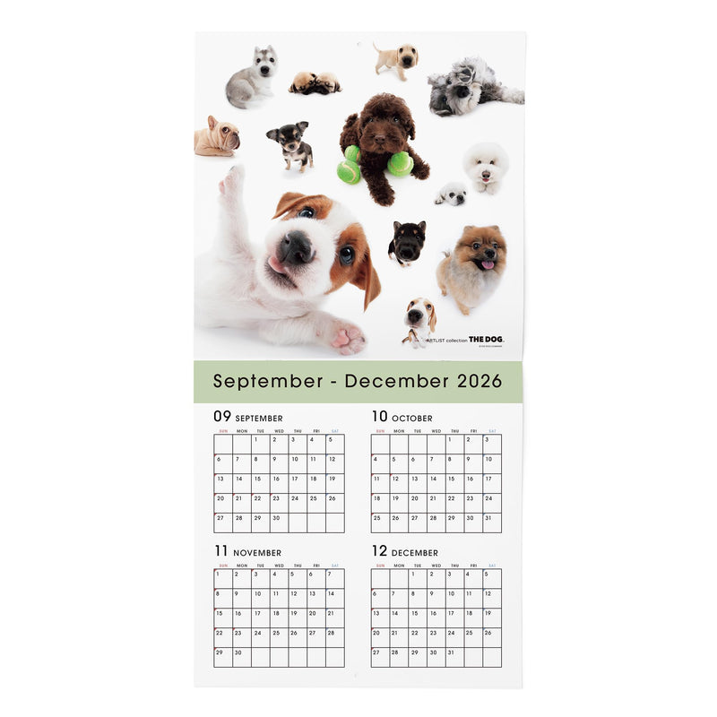 THE DOG 2027 Wall Calendar Large Size [All Stars]