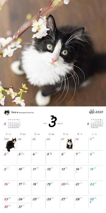 Orange Page Uchi no Nyanko. 2025 Wall Calendar