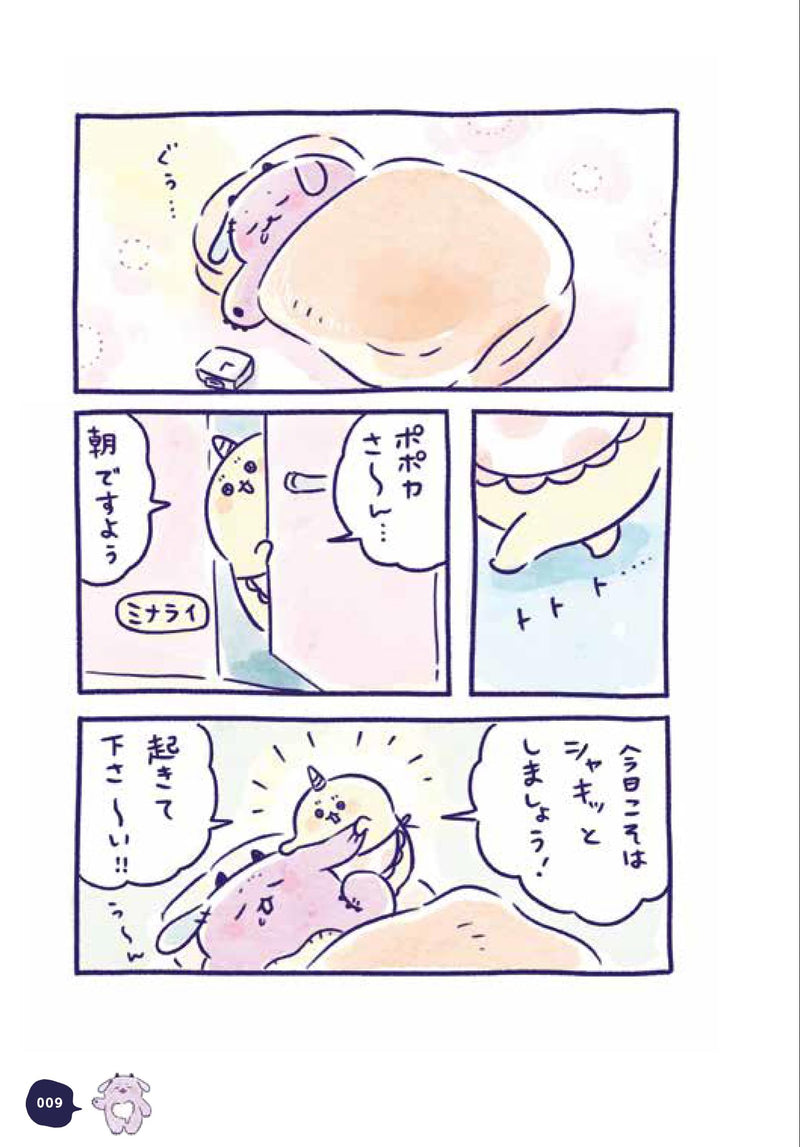 Pokapoka Popoka