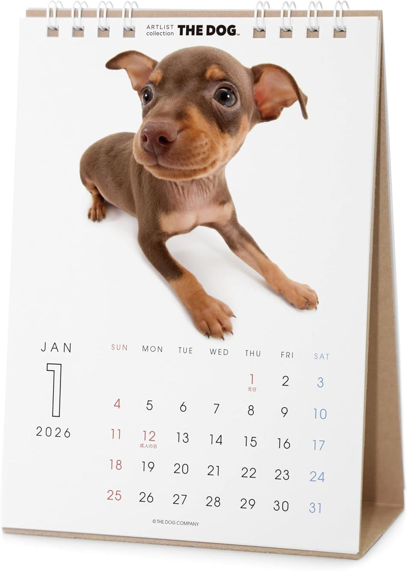 THE DOG 2026 Desk Calendar [Miniature Pinscher]