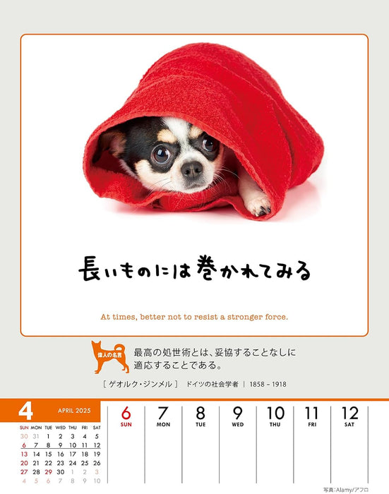 Try-X Only One Chance at Life! 2025 Desk Wall Calendar CL-383 18 x 14cm