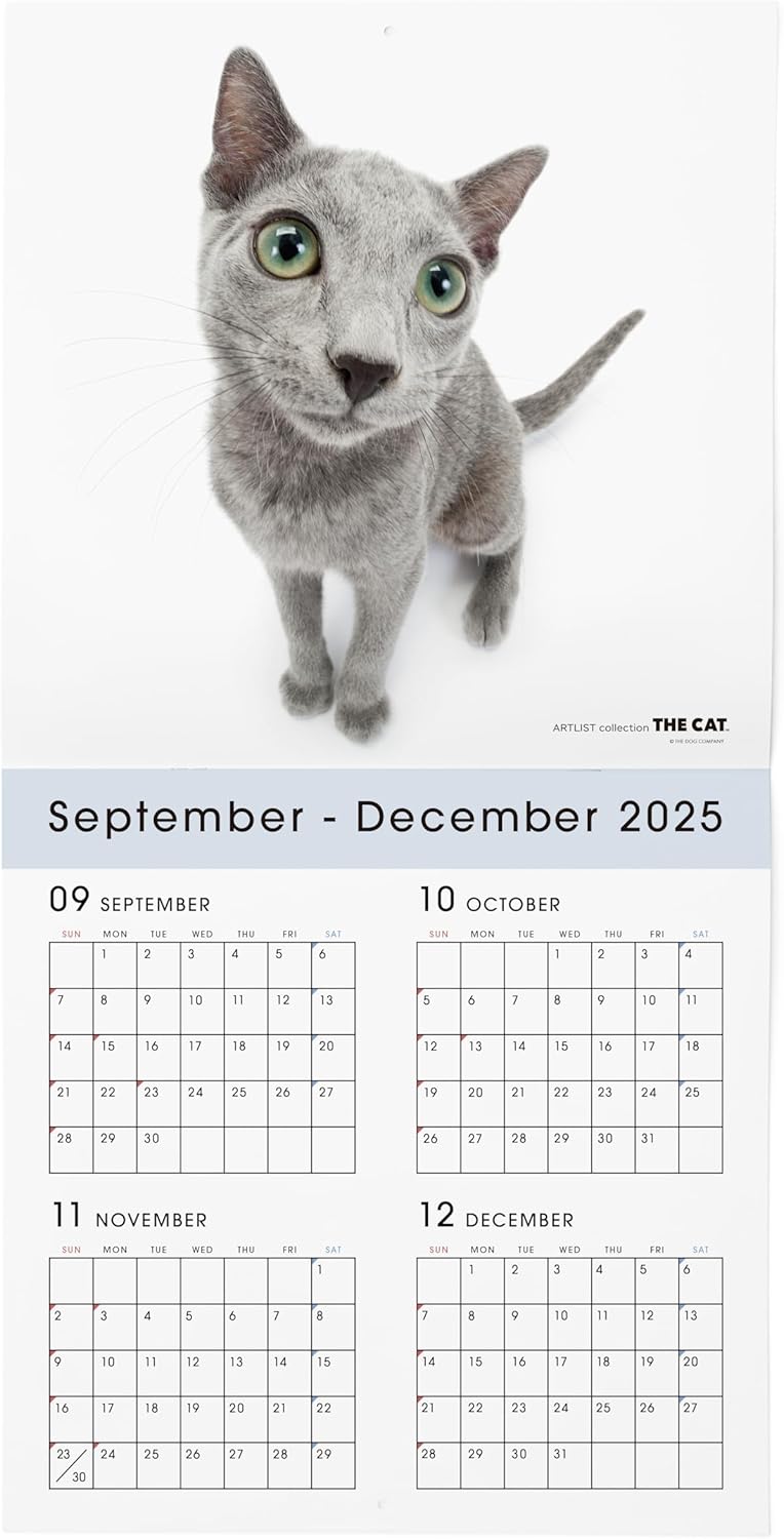 THE CAT 2026 Wall Calendar Large Size [Russian Blue]
