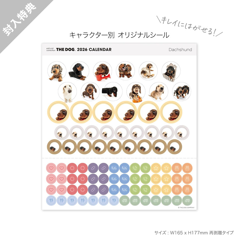 THE DOG 2026 Wall Calendar Large Size [Dachshund]