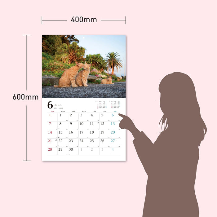 Relaxing Island Cat Journey 2026 Calendar