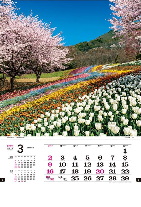 Todan 2025 Wall Calendar Japanese Beauty (Film) CL25-1078