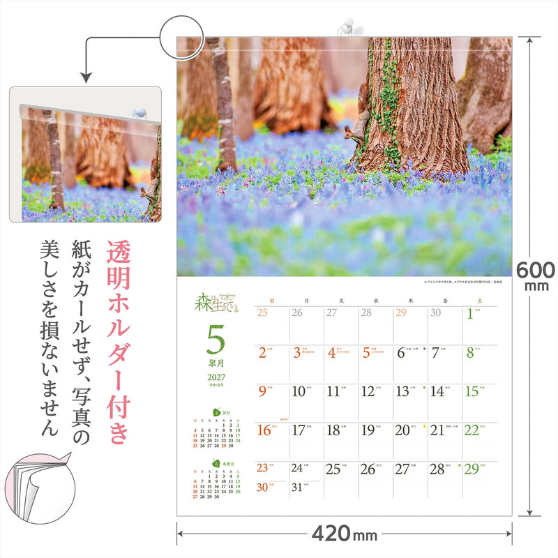 Shashin Koubou Calendar 'Natural Beatury in Japanese Forests' 2027 Wall Calendar (with Transparent Holder)