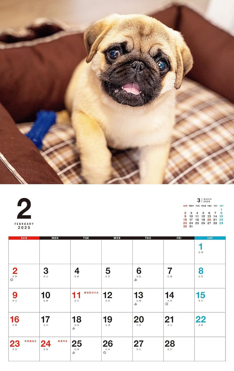 I LOVE Pug Calendar 2025 (Monthly/Wall Calendar)