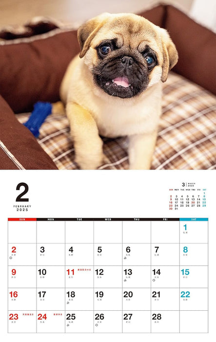 I LOVE Pug Calendar 2025 (Monthly/Wall Calendar)