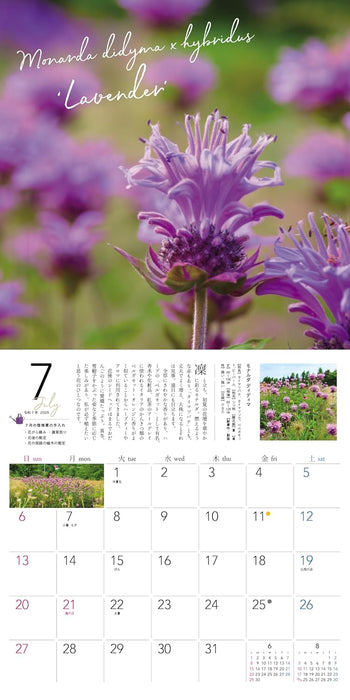 Ogihara Plant Garden Perennial 2025 Wall Calendar