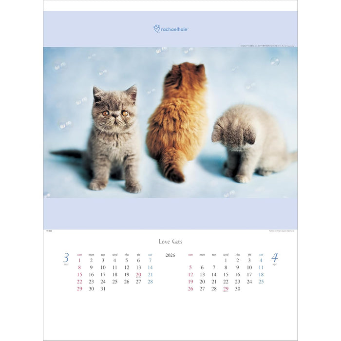 Todan 2026 Wall Calendar Love Cat - Rachel Hale Works - 53.5 x 38cm TD-934