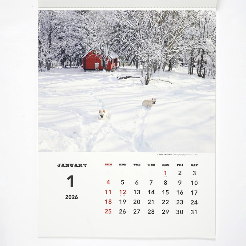 Greeting Life 2026 Wall Calendar NATSUHIKO FAMILY C-1741-NA