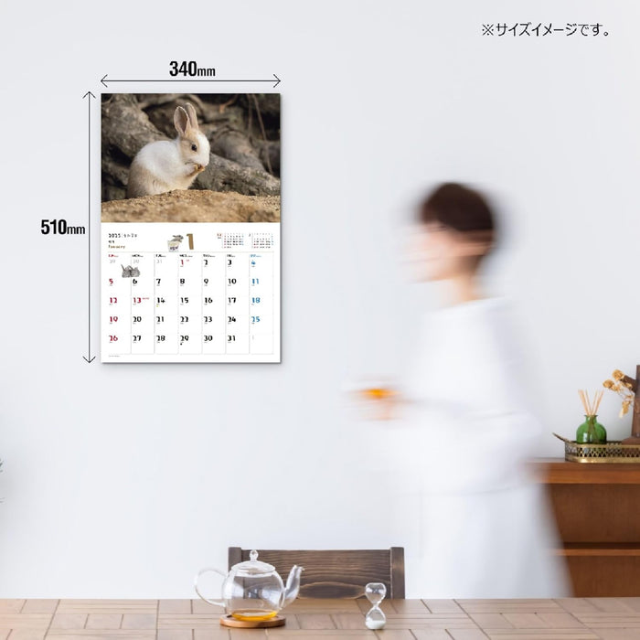 JTB Calendar Fuwa Fuwa Usagi 2025 Wall Calendar