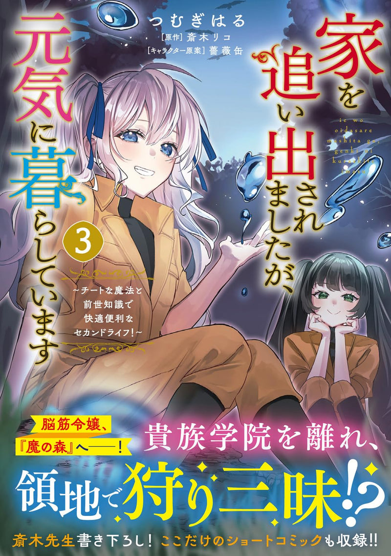 Ie wo Oidasaremashita ga, Genki ni Kurashiteimasu - Cheat na Mahou to Zense Chishiki de Kaiteki Benri na Second Life! - 3