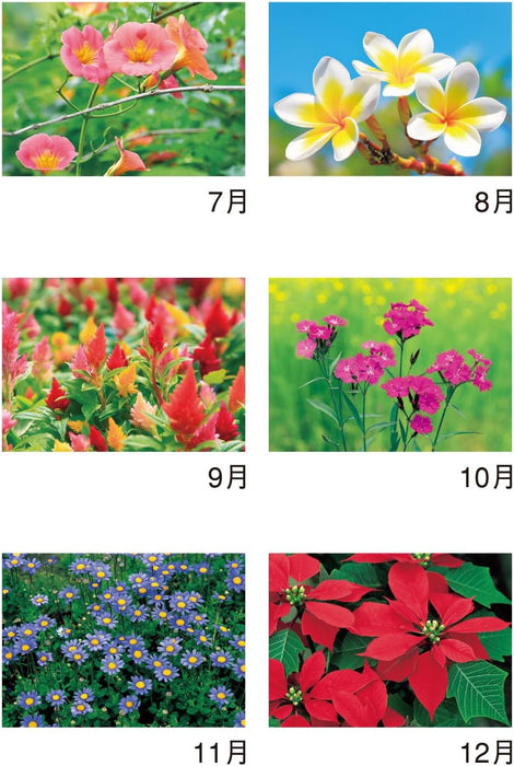 New Japan Calendar 2025 Wall Calendar Flower Language NK139 610x425mm