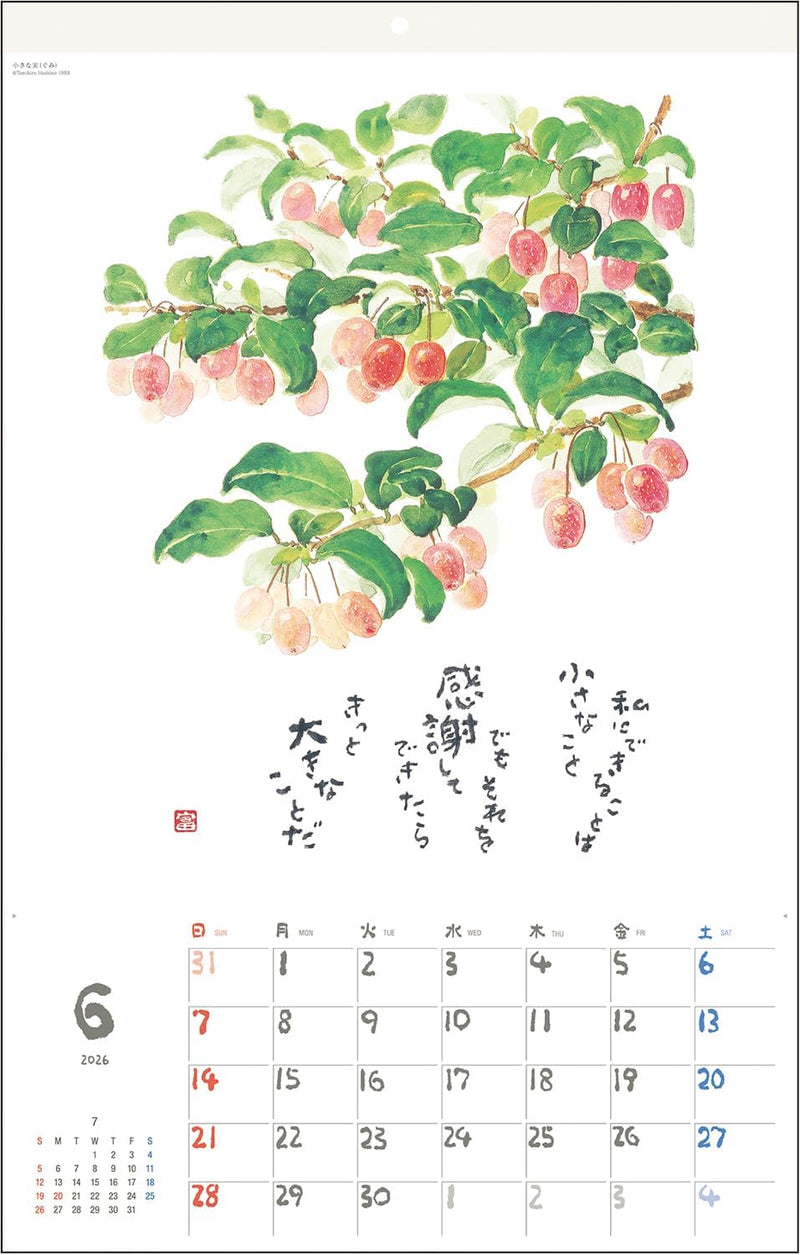 Tomohiro Hoshino 2026 Wall Calendar Jewel No.6226