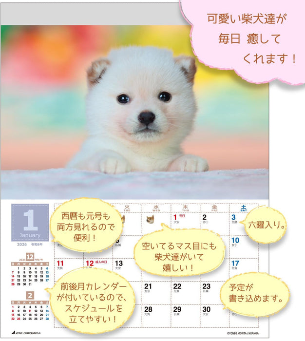 Active Corporation 2026 Wall Calendar Yoneo Morita Marugoto Shibainu 26ACL-11