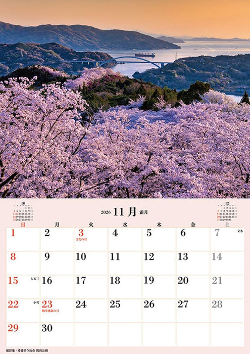 Try-X Jumbo 'Cherry Blossoms of Japan' Schedule 2026 Wall Calendar CL-471 B2